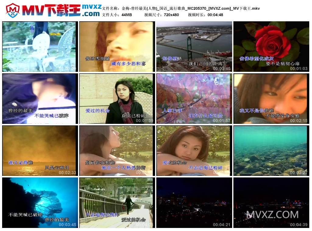 金梅-曾经最美(人物)_国语_流行歌曲_MC205370